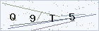 Verification code image